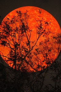 Solar Equation - Melbourne