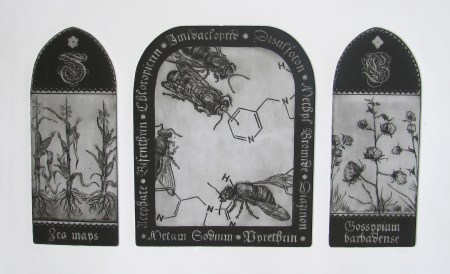 The Great Demise of the Pollinators