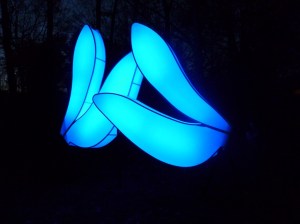 Love Motel for Insects - DC