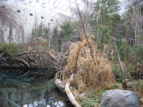 biodome4