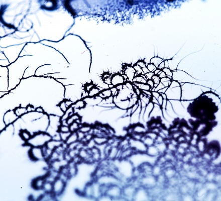 Sound to Shape by Nurit Bar-Shai at Science Gallery