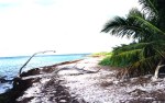 Beach_in_key_west