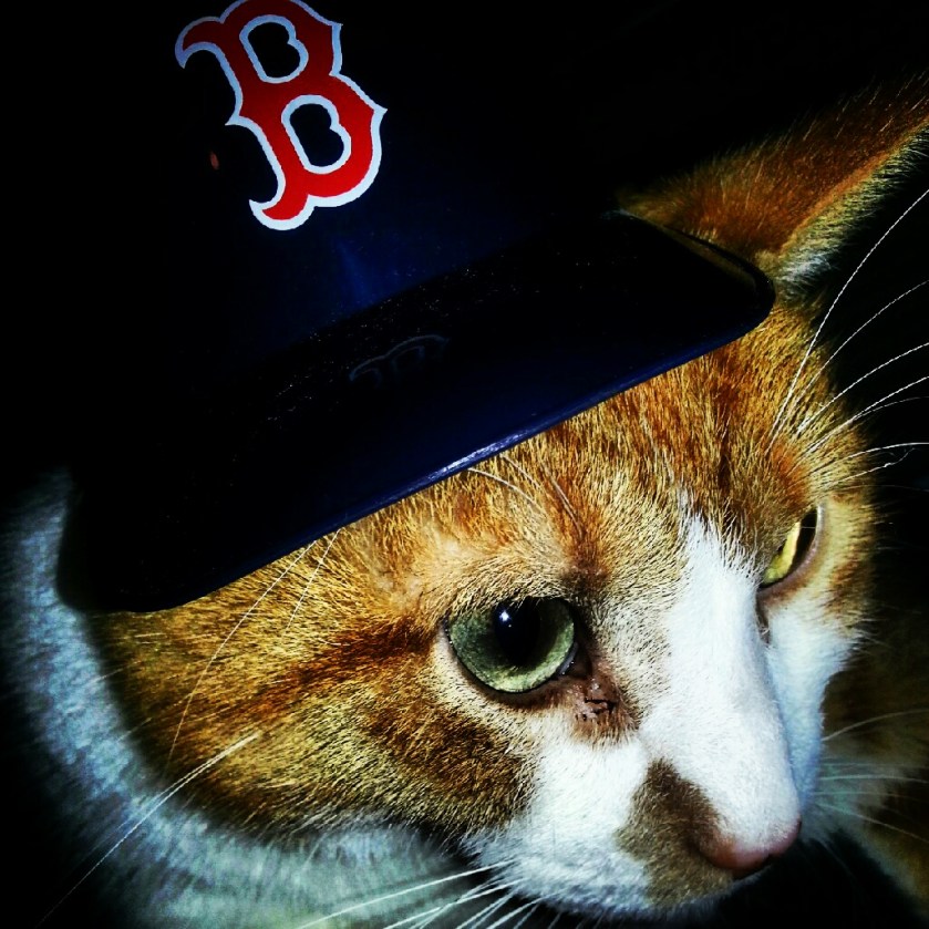catinredsoxhat