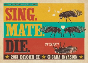 13 Cicada Promo1RGB