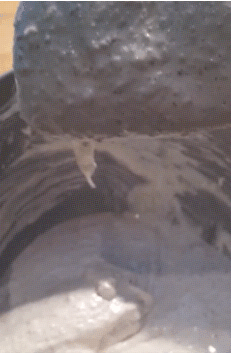 Consistency (Credit: Ben Witten CC BY-NC-SA) - if still, click to view animation