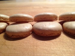 Macaron Foot (Photo Credit: Ben Witten CC BY-NC-SA)