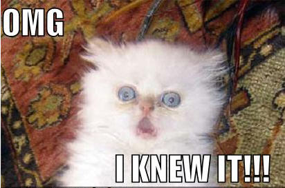 lolcat-omg-i-knew-it