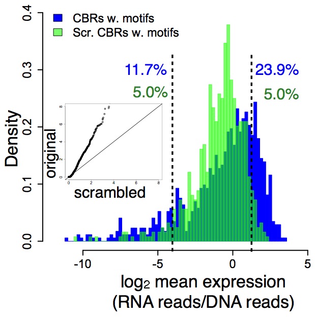 Fig 1B from PNAS July 16, 2013 vol. 110 no. 29 11952-11957