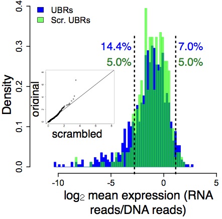 Fig 1D from PNAS July 16, 2013 vol. 110 no. 29 11952-11957
