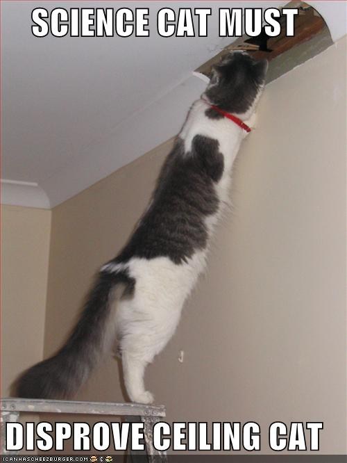scicatceiling