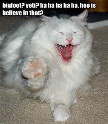 bigfoot-yeti-ha-ha-ha-ha-ha-hoo-is-