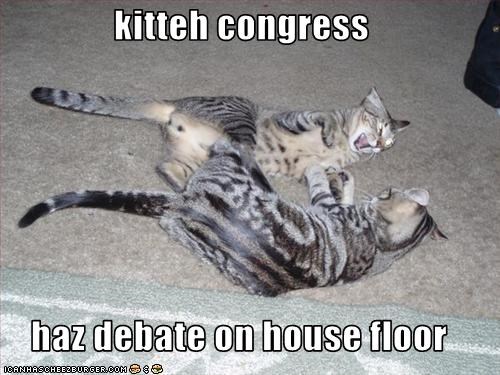 congresskittiees
