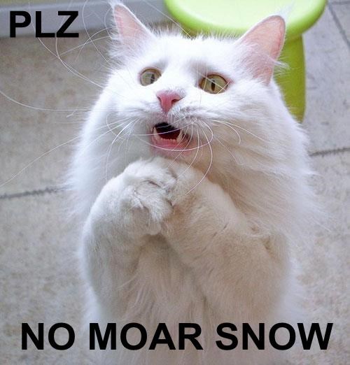 nomoresnow