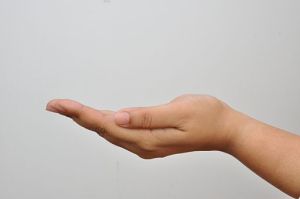 512px-Left_Hand_-_Kolkata_2011-04-20_2350