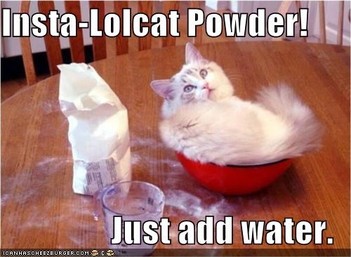 powdercat