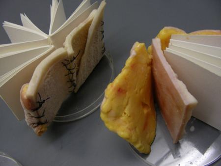 From The Cryobook Archives, Tagny Duff, 2008-11