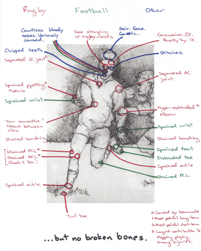 Original drawing by Susan Witten (Used with Permission)