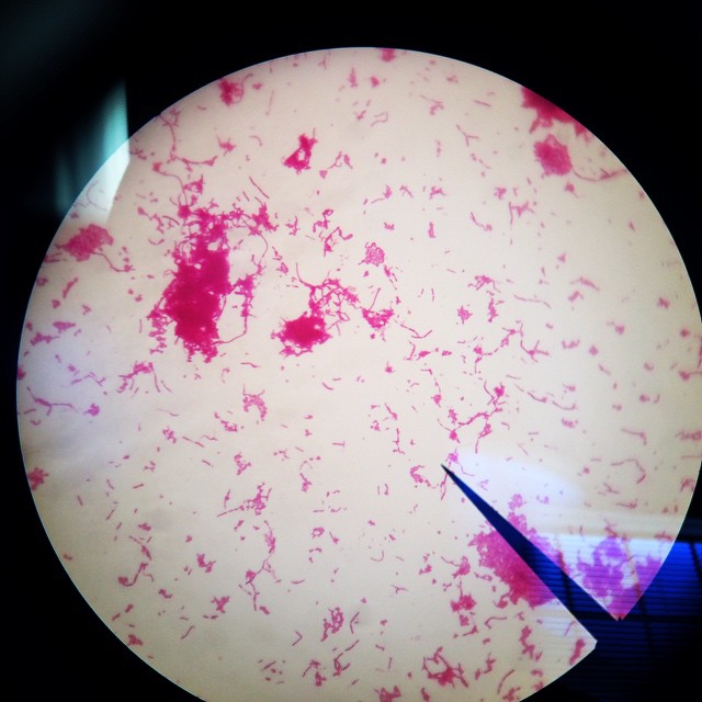 10520519_10100826633950744_5421940201780665526_n