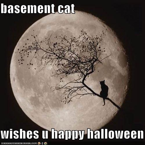 basement-cat-wishes-you-a-happy-halloween