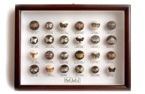 Claire Moynihan, Moth Balls II, Mixed Media, 2013