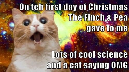 from Science Caturday guru Michele Banks