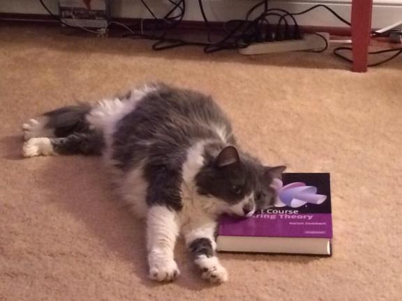 "What if the whole universe is made of stringzzzz...zzz..."