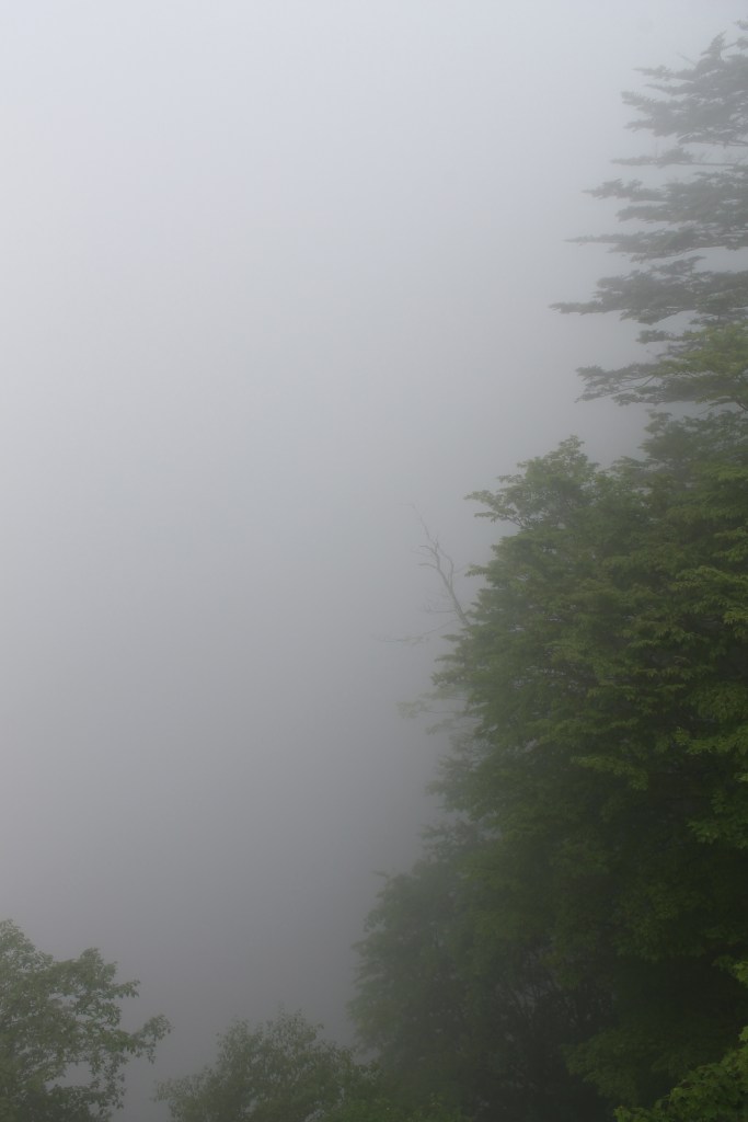 Beautiful waterfall! Can't you see it? It's right there!