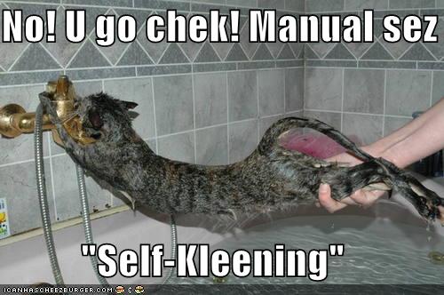 selfcleaning