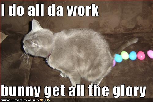 cat-lays-easter-eggs