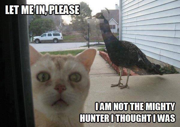 i am not the mighty hunter i thought i was