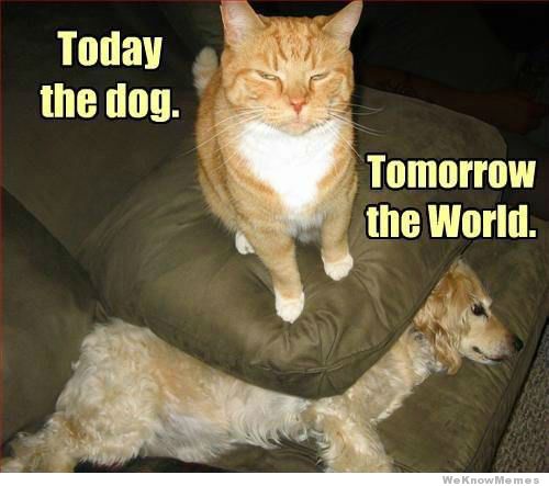 today-the-dog-tomorrow-the-world
