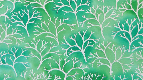 Help support my art-science residency in Finland and this Reindeer Moss could be yours.