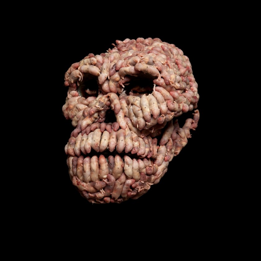 Klaus Enrique, Dmanisi Skull, 2014 