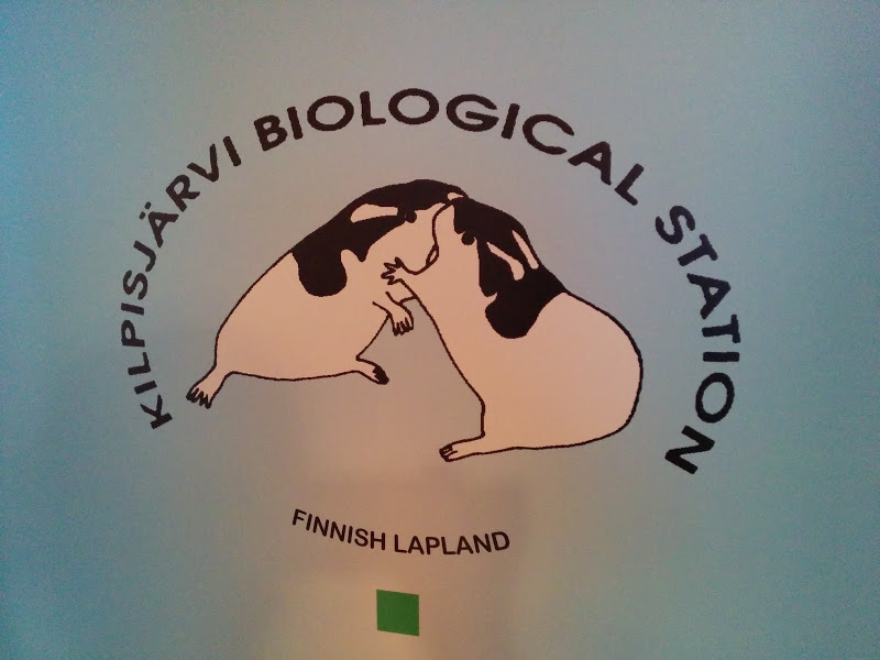 What are those lemmings doing? 