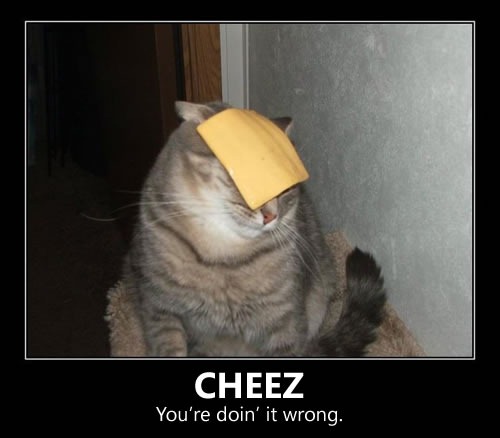 cheez-youre-doin-it-wrong